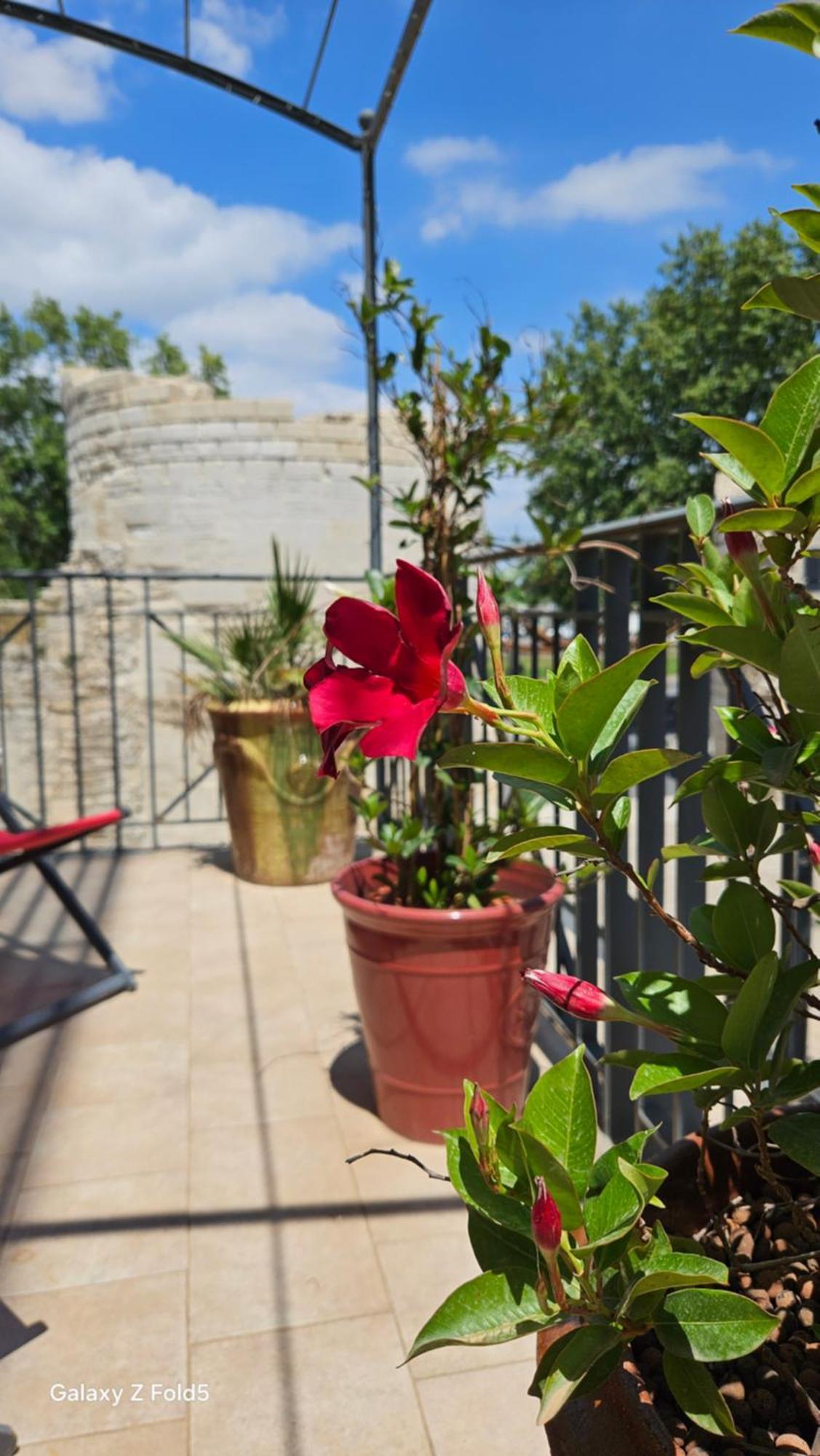 Brit Hotel Acacias Arles Kültér fotó